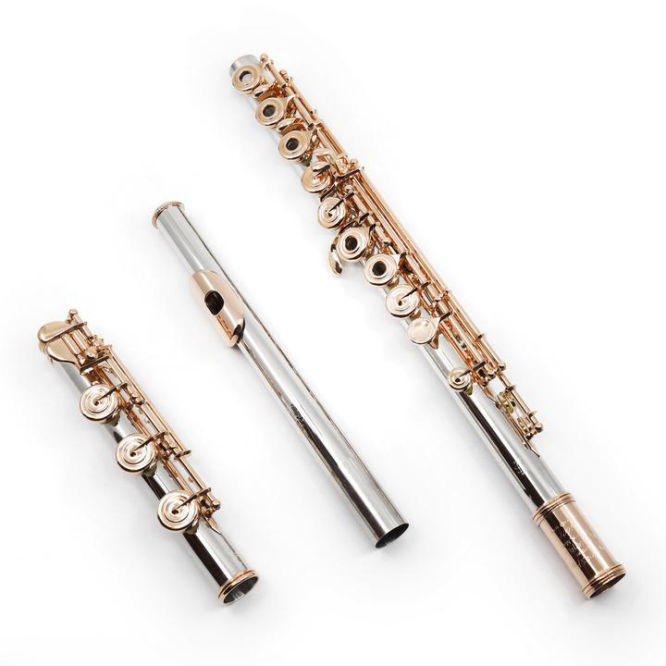 Il secondo flauto traverso più costoso al mondo: Haynes Platinum