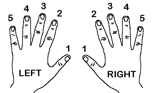Numerazione delle dita delle mani per la diteggiatura della melodica