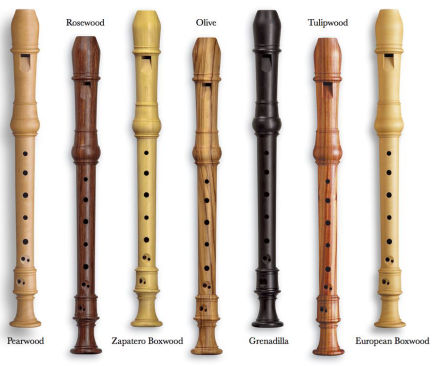 I legni utilizzati per costruire il flauto dolce