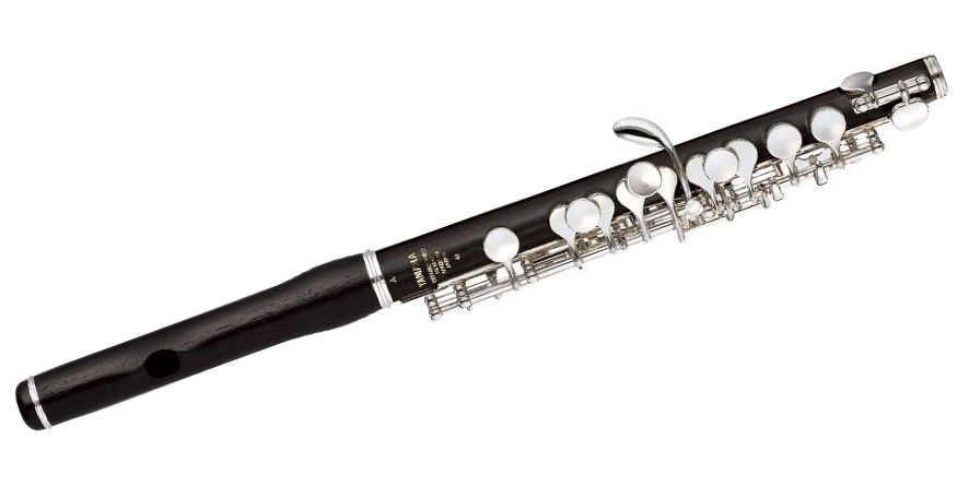 L'ottavino, chiamato anche piccolo, è il flauto traverso più corto