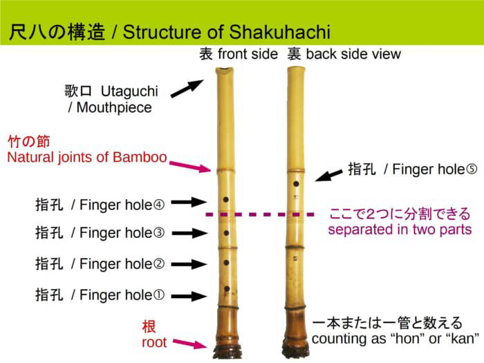Le varie sezioni dello shakuhachi